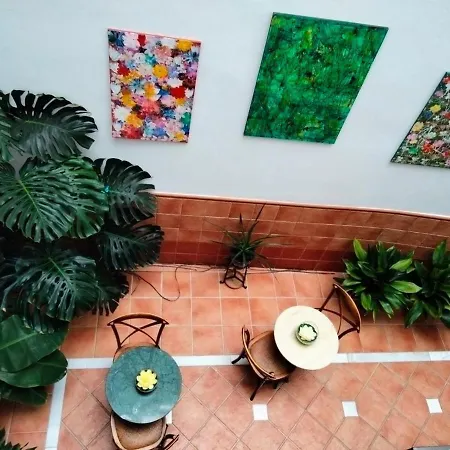 Hotel & Spa Plaza Arriate 3*