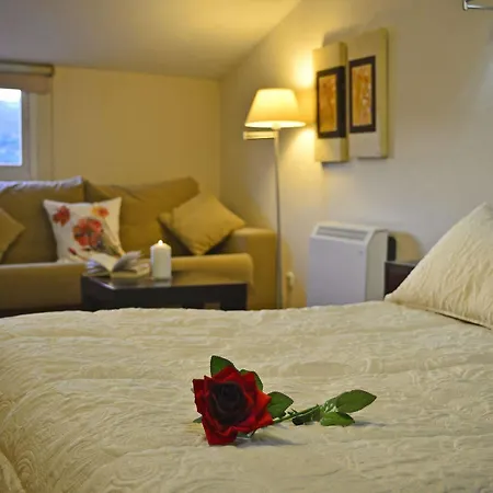 Hotel & Spa Plaza Arriate 3*